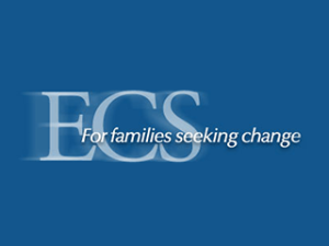 Educational Consulting Services