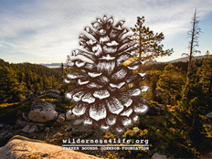 Wild Hearts Outdoor Adventures